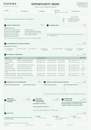 First page of the Opportunity Brief template, unfilled.